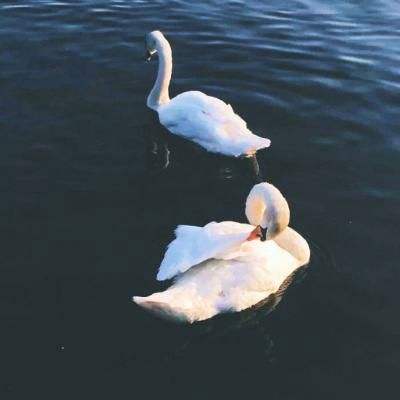 leyu乐鱼·体育下载手机版