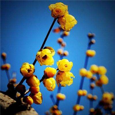 365体育中国官方网站截图