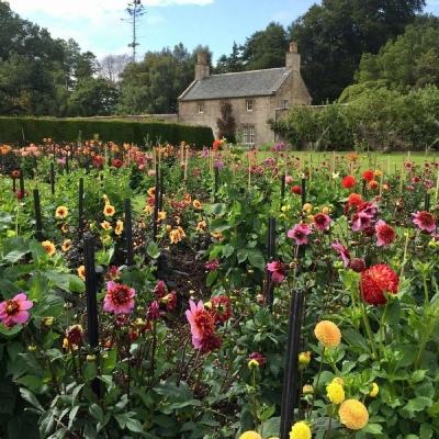 经典牛牛app下载