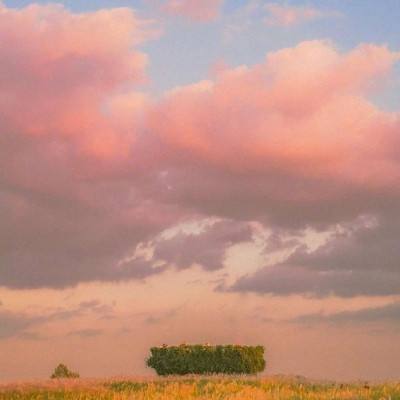 569vip威尼斯游戏