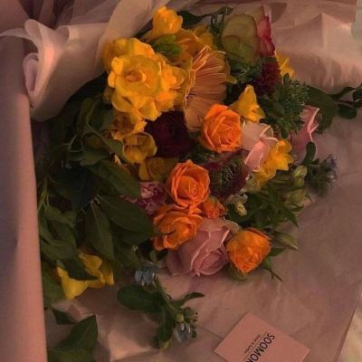 yaboapp手机app下载