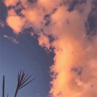 江南体育下载app下载