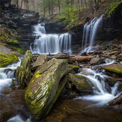 365体育手机版入口