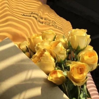 半岛·体育中国官方网站下载