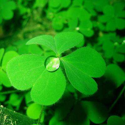 万博ManBetX客户端登录