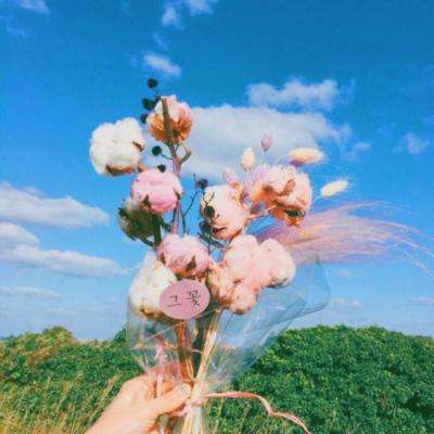 一码一肖100准资料应用手机app下载