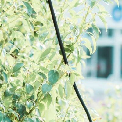 银河国际官网app下载app下载