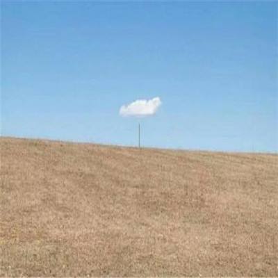 好运彩手机app下载