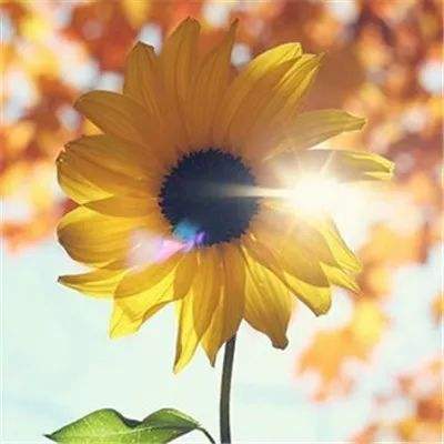 南宫体育app下载