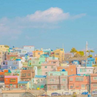 manbetx官网在线登录